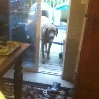 Profile Picture of Jessie Jeffrey (@jessie.jeffrey.96) on Facebook