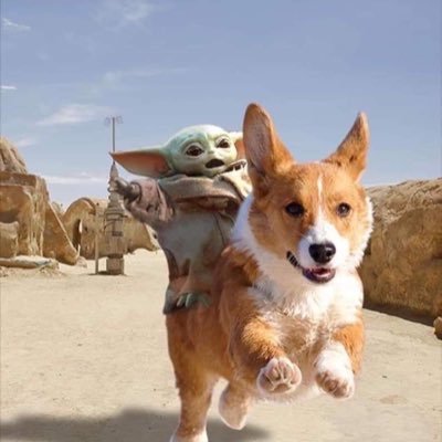 Profile Picture of Benjamin Kilborn (@BenjaminKilborn) on Twitter