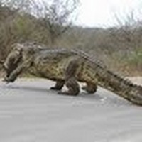 Profile Picture of Grady Holt (@grady-holt-1) on Quora