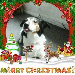 Profile Picture of Kevin Brookes (@kevin.brookes.98284) on Facebook