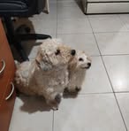 Profile Picture of Barbara Lupin (@barbara.lupin.50) on Facebook