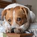 Profile Picture of Randy Blanton (@randy.blanton.524) on Facebook