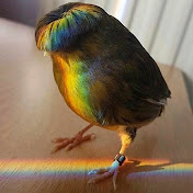 Profile Picture of Ashton Collins (@ashtoncollins5084) on Youtube