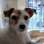 Profile Picture of Marilyn Gothard (@marilyn.gothard) on Facebook