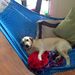 Profile Picture of Scotty Grider (@scottygrider) on Pinterest