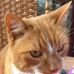 Profile Picture of Geoffrey Paddock (@geoffrey.paddock) on Facebook