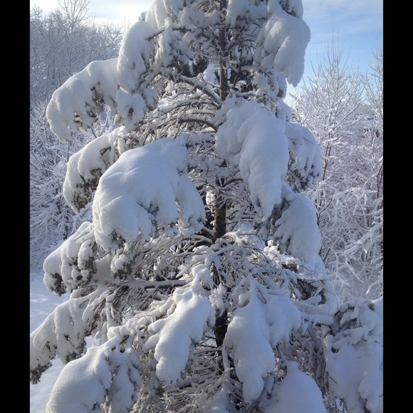 Profile Picture of Yu Chung (@realistic65) on Poshmark