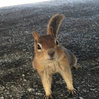 Profile Picture of Ding Chen (@ding-chen-23) on Quora