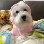 Profile Picture of Pui Kei Tai (@tai_pui_kei) on Instagram