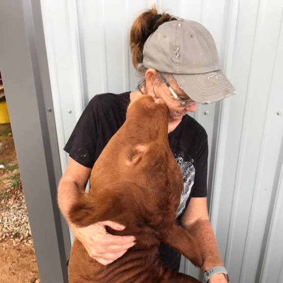 Profile Picture of Fredda Oglesby (@fredda) on Poshmark