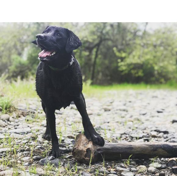 Profile Picture of David Ryn (@ravedyn) on Poshmark