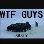 Profile Picture of Michael Leckie (@specialkindofbrown) on Instagram