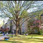 Vikki Vaughn Park - Instagram Profile Picture of Vikki Vaughn Park (@vvpark) on Instagram