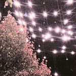 Profile Picture of Seth Hendrickson (@seth._hendrickson) on Instagram