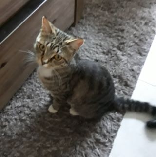 Profile Picture of Julia Vanderhaegen (@julia.vanderhaegen.90) on Facebook