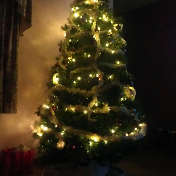 Profile Picture of Bonnie Higgins (@brn2shp) on Poshmark