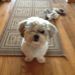 Profile Picture of Kimberly Ledesma (@kimberlyledesma) on Pinterest