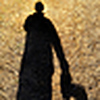 Profile Picture of Joe B (@skyline badger) on Flickr