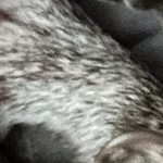 Profile Picture of David Blevins (@m6k7yyws) on Flickr