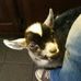 Profile Picture of Scott Sramek (@scott.sramek) on Facebook