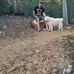 Profile Picture of Steve Adler (@steve.adler.3194) on Facebook