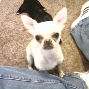 Profile Picture of Angel Lovelife (@platinumkaycie) on Myspace