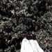 Profile Picture of Robert Englert (@robertenglert0103) on Pinterest