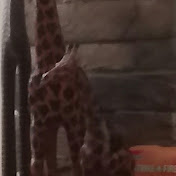 Profile Picture of Joshua Ball (@joshuaball7076) on Youtube