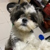 Profile Picture of Kawybongga (@@karencaudal) on Tiktok