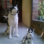 Profile Picture of ariel salazar (@arielsalazar409) on Flickr