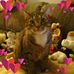 Profile Picture of Koon Wong (@koon.wong.35) on Facebook