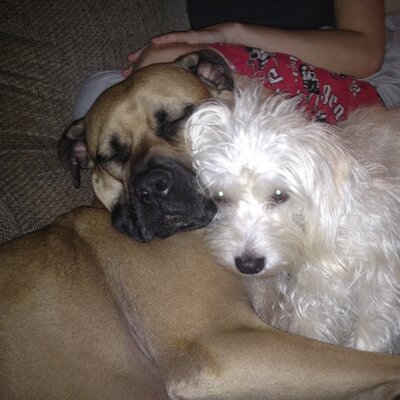 Profile Picture of Zachary Keller (@kellerzach1982) on Twitter