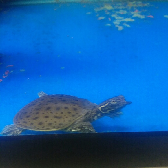 Profile Picture of Joe Prince (@joe_prince57) on Poshmark