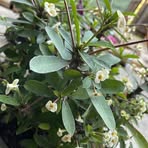 Profile Picture of Darius Hicks (@Darius-Hicks) on Facebook