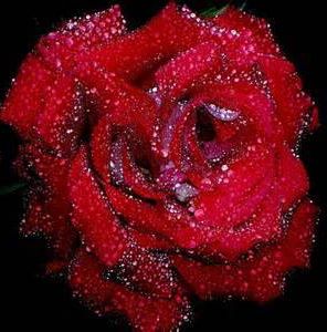 Profile Picture of Vanessa Urrego (@Vanessa-Urrego) on Facebook