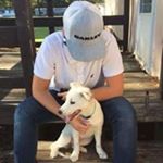 Profile Picture of Shannon Chandler (@herring12344321) on Instagram