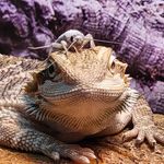 Profile Picture of Kevin Losey (@trumc6) on Instagram