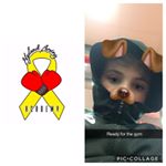 Profile Picture of Kyle Cooney (@kylecooneyboxing_hba) on Instagram