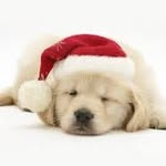 Profile Picture of Michael Straßner (@strassnermichael) on Instagram