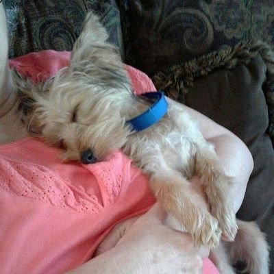 Profile Picture of Beverly McLaughlin (@Beverly67104258) on Twitter