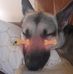 Profile Picture of Andrew Grigg (@Andrew-Grigg) on Facebook