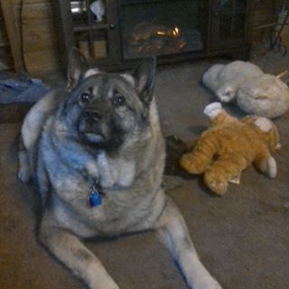 Marianne Sheetz - Facebook Profile Picture of Marianne Sheetz (@Marianne-Sheetz) on Facebook