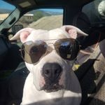 Profile Picture of Brian Bentley (@bentley9010) on Instagram