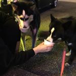 Profile Picture of Sage Avery&Brandi Wayne McGee🐾 (@sageandbrandi) on Instagram