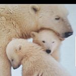 Profile Picture of Phyllis Reece (@phyllis.reece.581) on Instagram