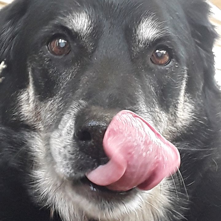 Profile Picture of Steven Wildman (@s.wildman) on Tiktok