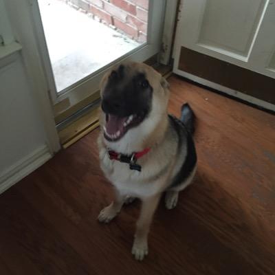 Profile Picture of Randy McCoy (@RandyMcCoy1970) on Twitter