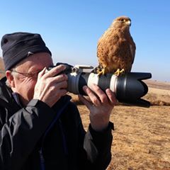 Profile Picture of Dr Derek Keats (@derekkeats) on Tiktok