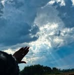 Profile Picture of Mark Ritter (@Mark-Ritter) on Facebook