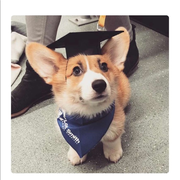 Profile Picture of Nolan Carnal (@nolan4321) on Poshmark